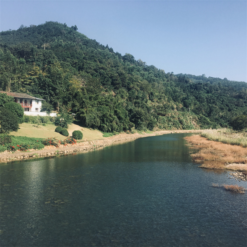 永泰芋坑基地