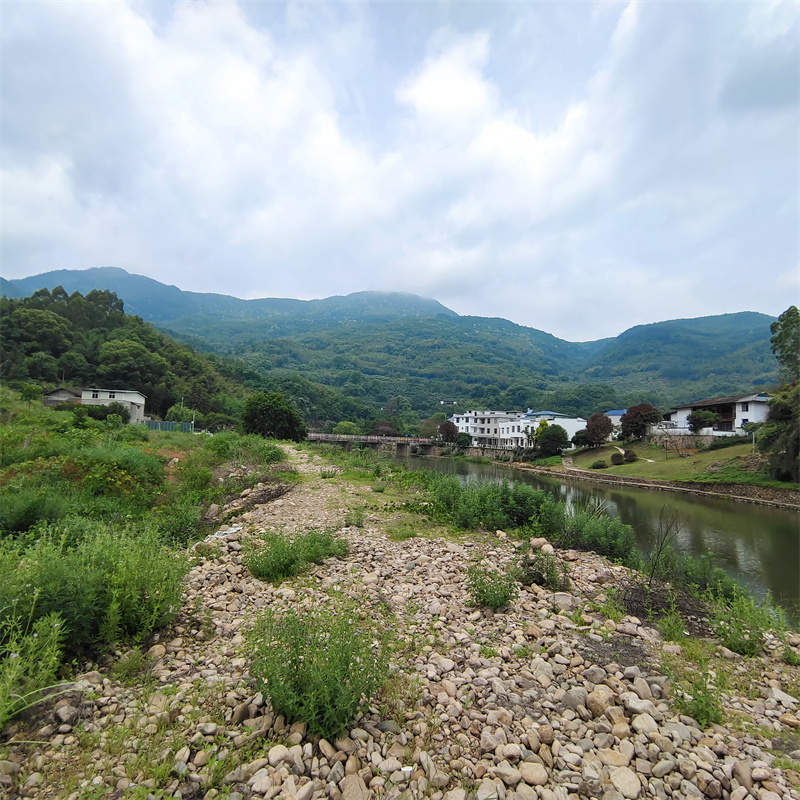 永泰芋坑基地